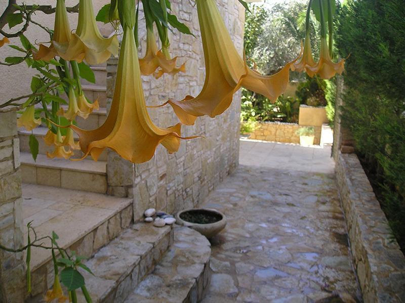 Eleonas Studios Poros Town ภายนอก รูปภาพ